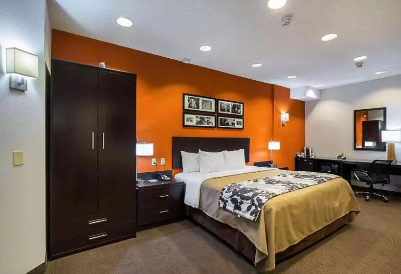 身障者適用キングサイズベッドルーム, Sleep Inn & Suites