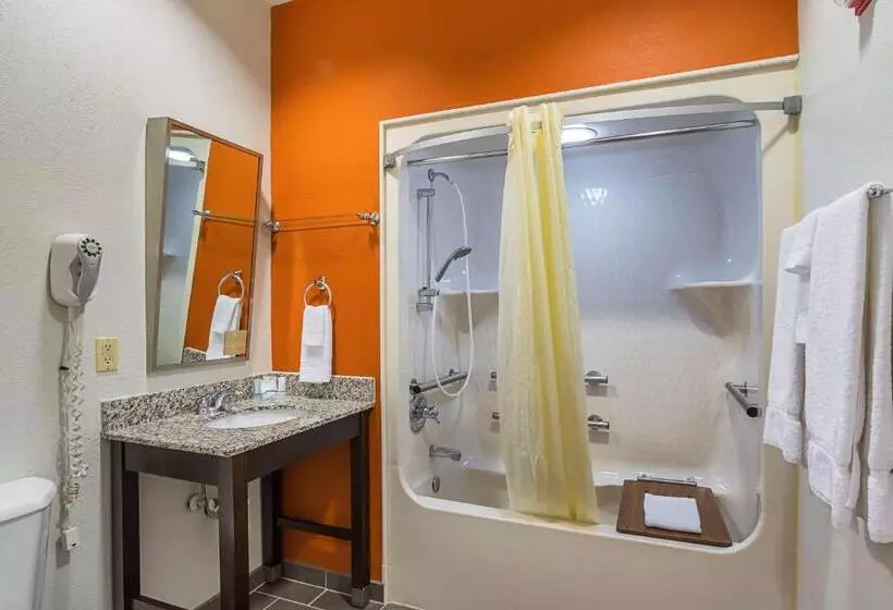 身障者適用スタンダードルーム, Sleep Inn & Suites