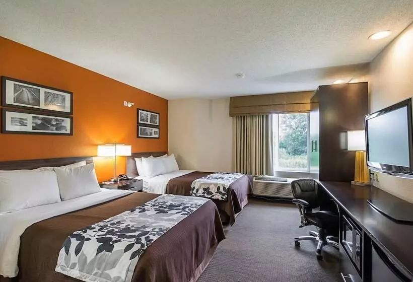 ２ダブルベッドのスタンダードルーム, Sleep Inn & Suites