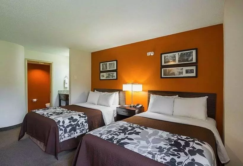 ２ダブルベッドのスタンダードルーム, Sleep Inn & Suites