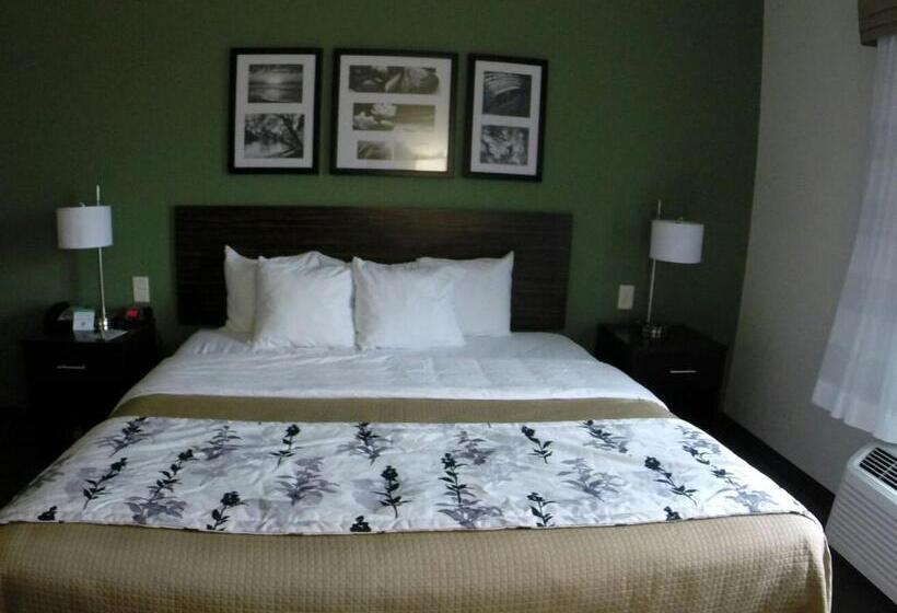 Стандартный Номер Кровать Кинг, Sleep Inn & Suites Mount Olive North