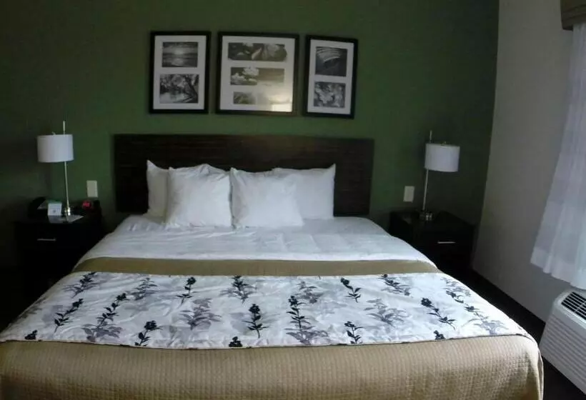 キングサイズベッドのスタンダードルーム, Sleep Inn & Suites Mount Olive North