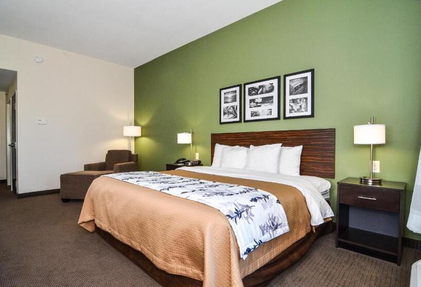 Стандартный Номер Кровать Кинг, Sleep Inn & Suites Mount Olive North