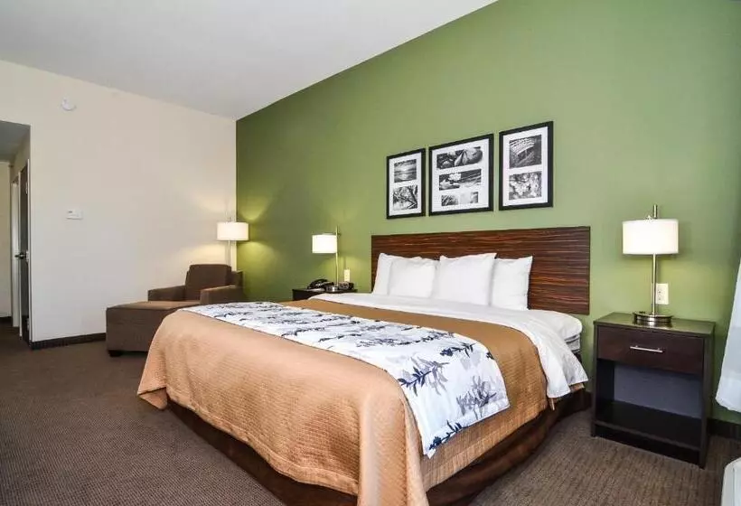 キングサイズベッドのスタンダードルーム, Sleep Inn & Suites Mount Olive North