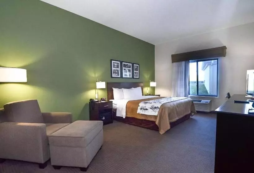 キングサイズベッドのスタンダードルーム, Sleep Inn & Suites Mount Olive North