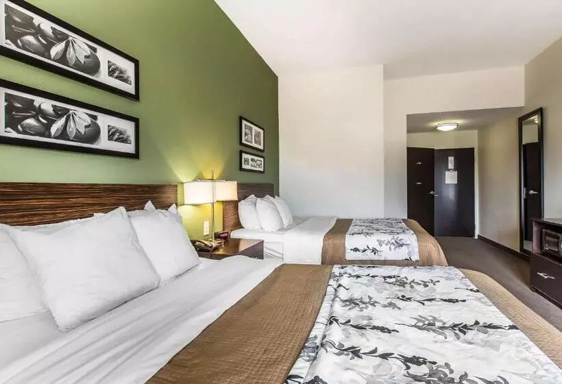 スタンダードルーム, Sleep Inn & Suites Mount Olive North
