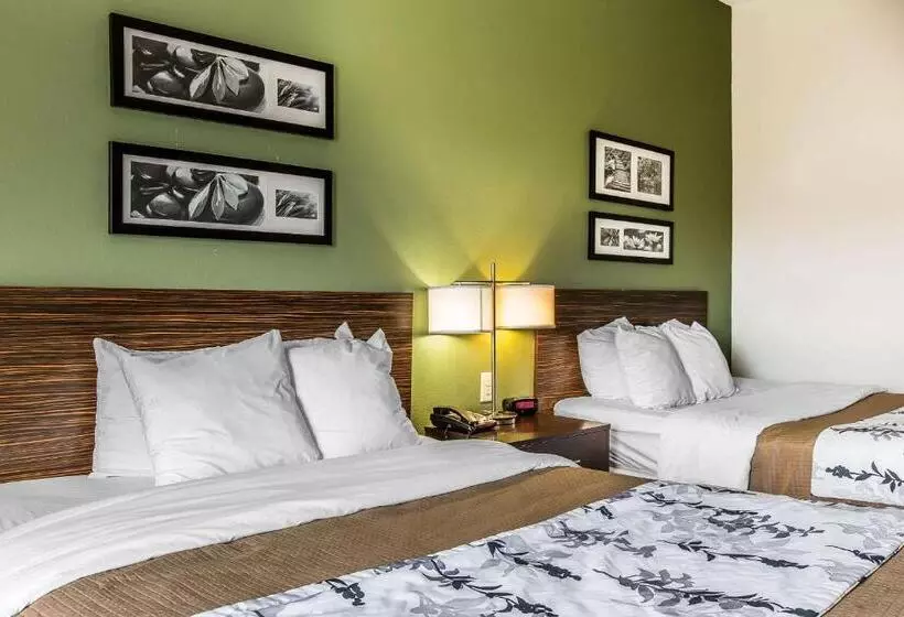 スタンダードルーム, Sleep Inn & Suites Mount Olive North