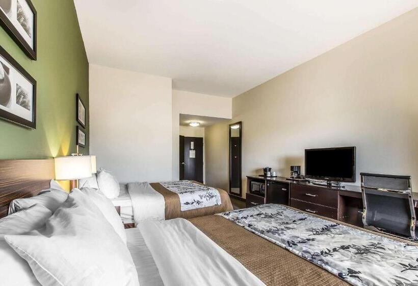 Номер Стандарт, Sleep Inn & Suites Mount Olive North