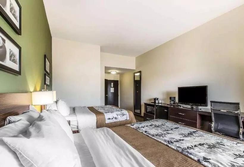 スタンダードルーム, Sleep Inn & Suites Mount Olive North