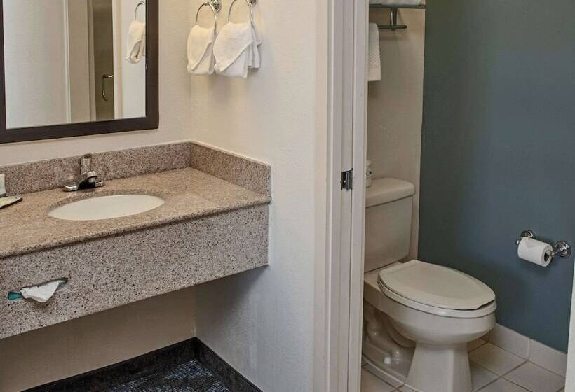 ２ダブルベッドのスタンダードルーム, Sleep Inn Lake Wright  Norfolk Airport