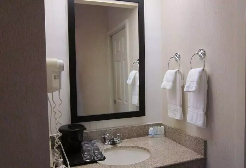 اتاق استاندارد با 2 تخت دوبل, Sleep Inn Lake Wright  Norfolk Airport
