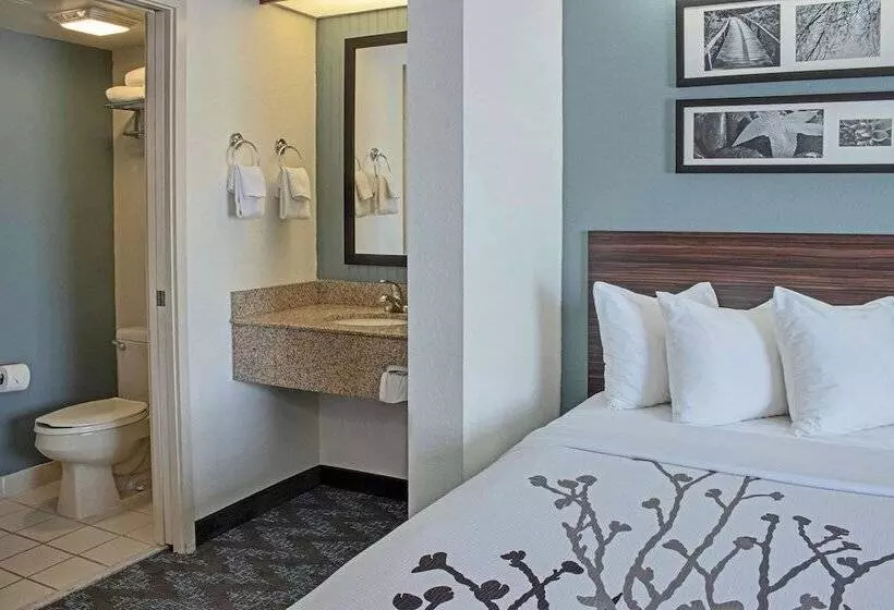 اتاق استاندارد با 2 تخت دوبل, Sleep Inn Lake Wright  Norfolk Airport