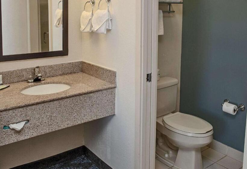 스탠다드 룸 더블 침대 2개, Sleep Inn Lake Wright  Norfolk Airport