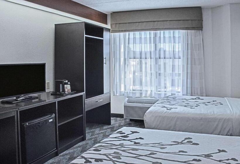 带2个双人床的标准工作室, Sleep Inn Lake Wright  Norfolk Airport