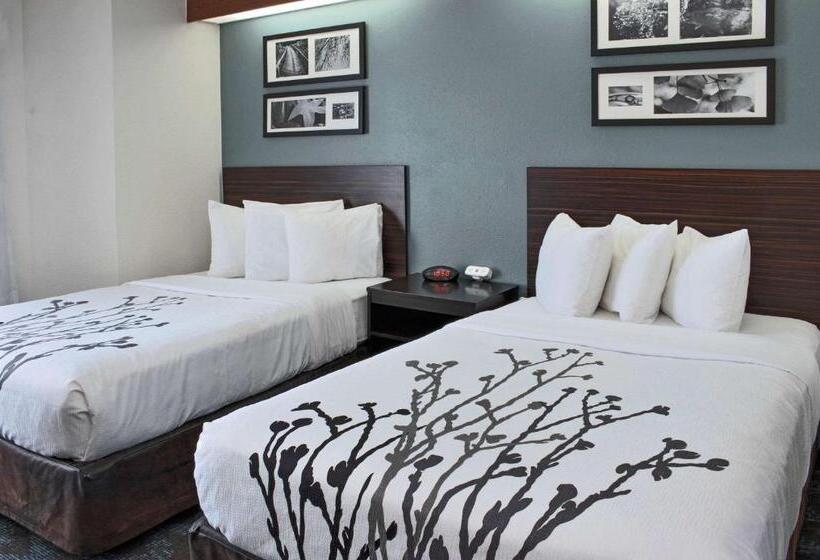 Номер Стандарт 2 Двуспальные Кровати, Sleep Inn Lake Wright  Norfolk Airport