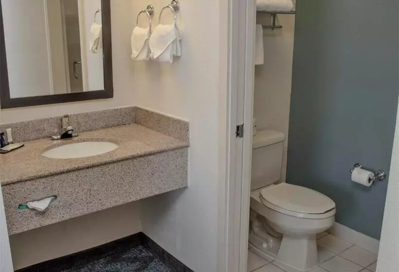 اتاق استاندارد با تخت بزرگ, Sleep Inn Lake Wright  Norfolk Airport