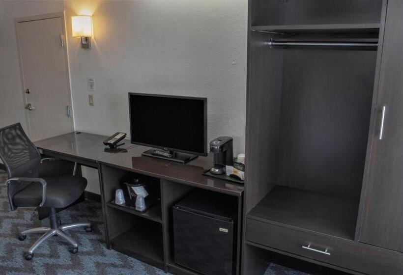 스탠다드 룸 킹사이즈 침대, Sleep Inn Lake Wright  Norfolk Airport