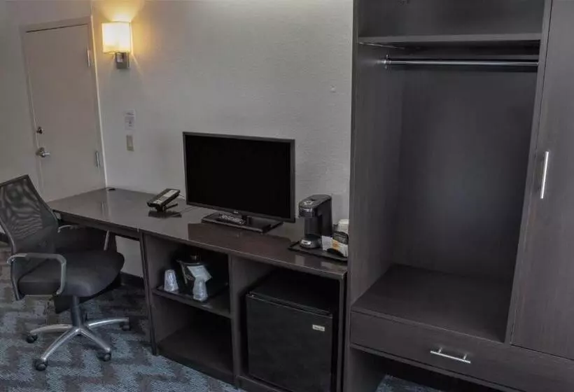 اتاق استاندارد با تخت بزرگ, Sleep Inn Lake Wright  Norfolk Airport