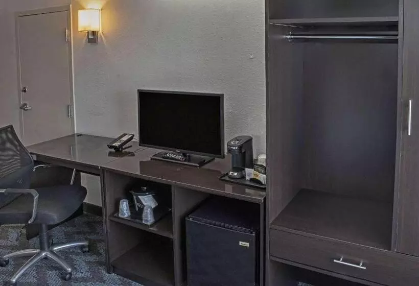 اتاق استاندارد با تخت بزرگ, Sleep Inn Lake Wright  Norfolk Airport