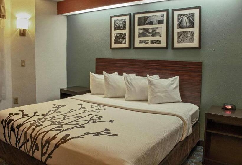 Стандартный Номер Кровать Кинг, Sleep Inn Lake Wright  Norfolk Airport
