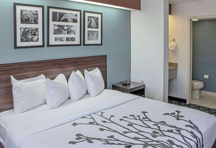带大床的标准间, Sleep Inn Lake Wright  Norfolk Airport