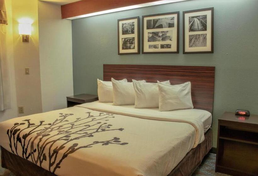 适合残疾人士使用的带超级大床的标准间, Sleep Inn Lake Wright  Norfolk Airport