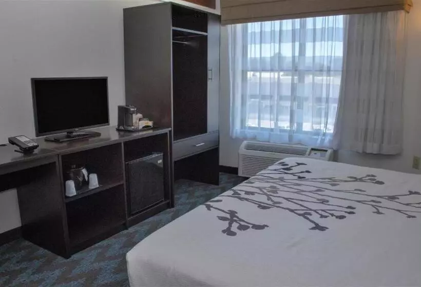 اتاق استاندارد با تخت بزرگ برای معلولان, Sleep Inn Lake Wright  Norfolk Airport