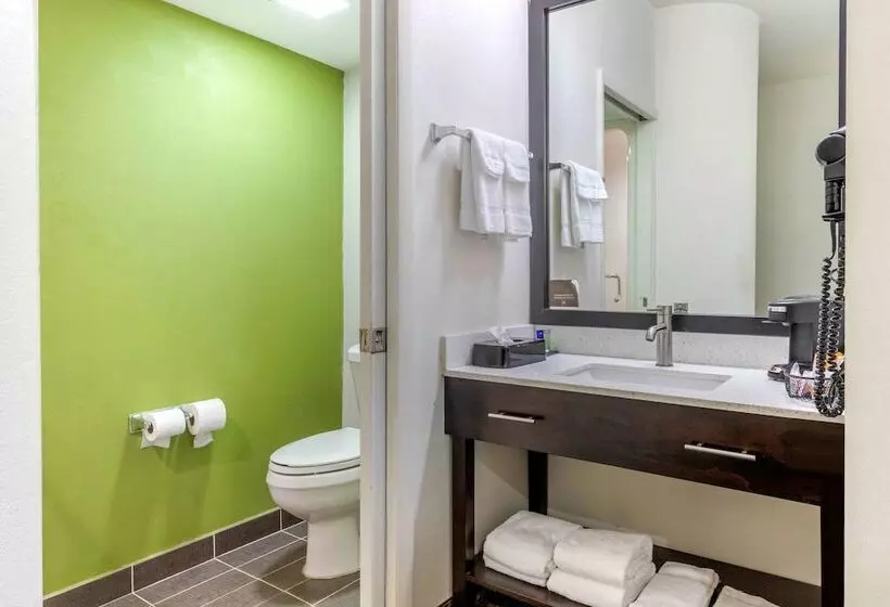 ２ダブルベッドのスタンダードルーム, Sleep Inn Orangeburg