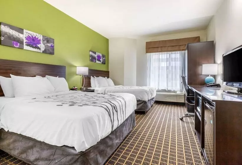 ２ダブルベッドのスタンダードルーム, Sleep Inn Orangeburg