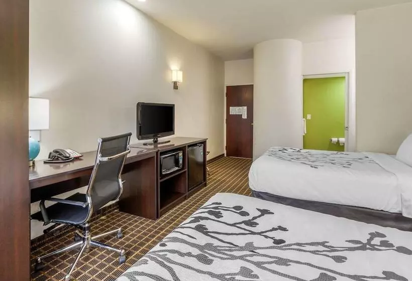 ２ダブルベッドのスタンダードルーム, Sleep Inn Orangeburg