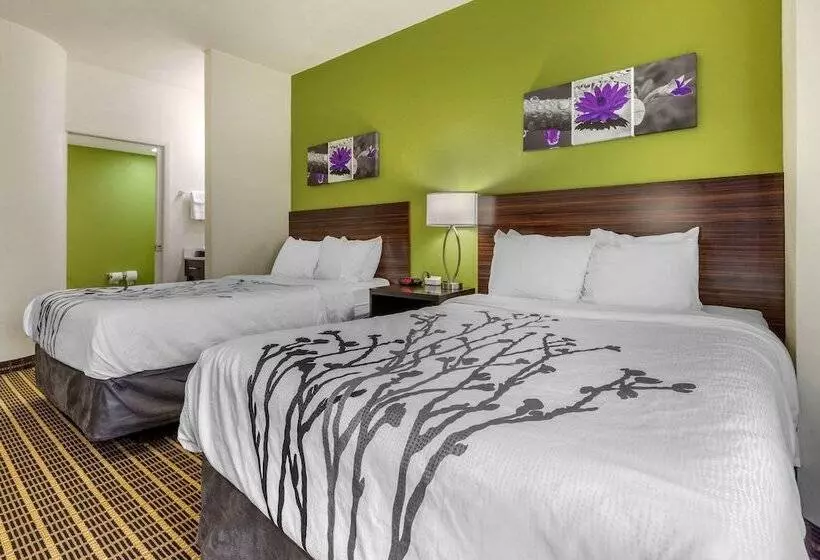 ２ダブルベッドのスタンダードルーム, Sleep Inn Orangeburg