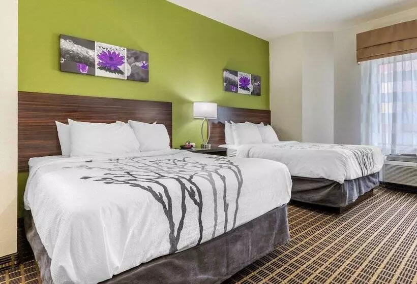 ２ダブルベッドのスタンダードルーム, Sleep Inn Orangeburg