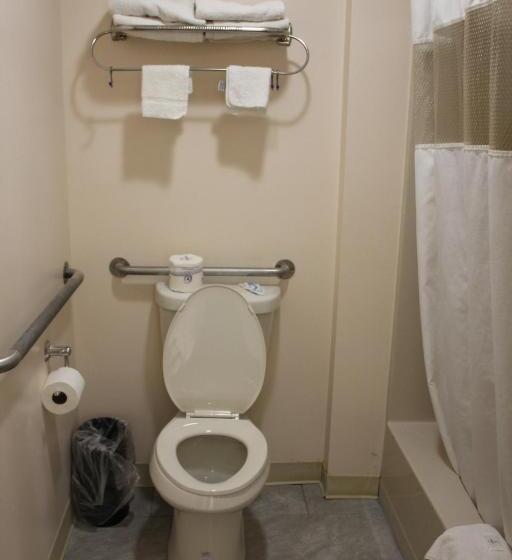 キングサイズベッドのスタンダードルーム, Sterling Inn Niagara Falls Near Iag Airport
