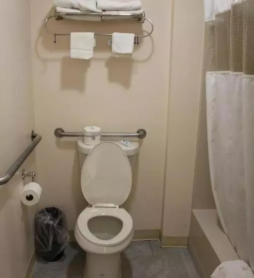 اتاق استاندارد با تخت بزرگ, Sterling Inn Niagara Falls Near Iag Airport