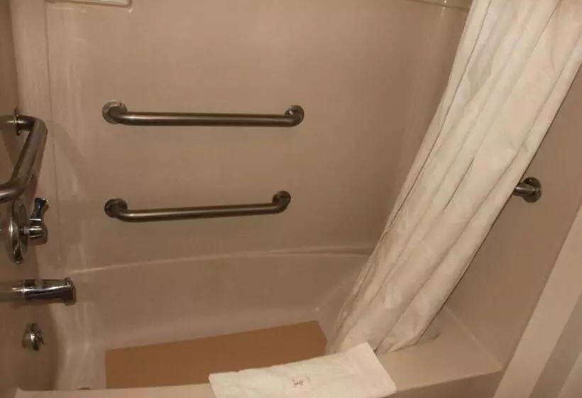 اتاق استاندارد با تخت بزرگ, Sterling Inn Niagara Falls Near Iag Airport