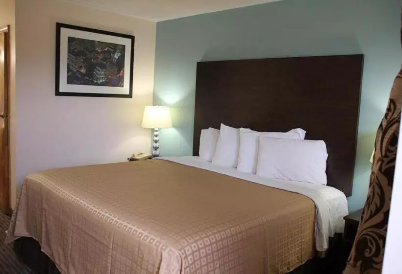 اتاق استاندارد با تخت بزرگ, Sterling Inn Niagara Falls Near Iag Airport