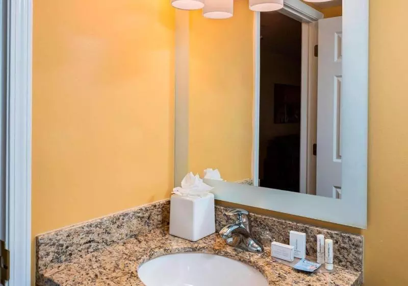 スイート, Towneplace Suites By Marriott Atlanta Kennesaw