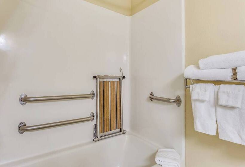 스탠다드 스튜디오 더블 침대, Towneplace Suites By Marriott Dallas Bedford