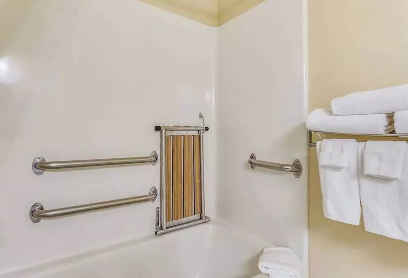 スタンダードスタジオ, Towneplace Suites By Marriott Dallas Bedford