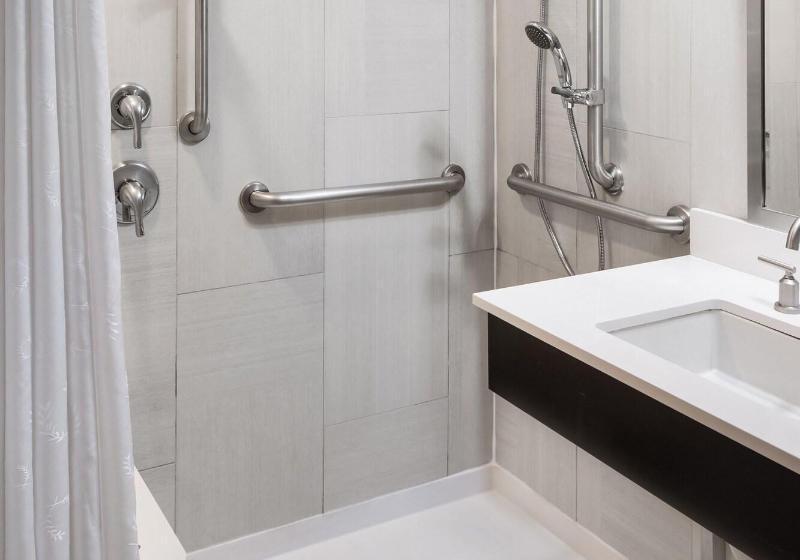 带大床的套房, Towneplace Suites By Marriott Seattle Everett/mukilteo