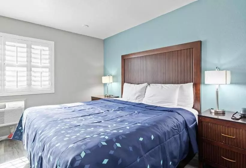 キングサイズベッドのデラックスルーム, Travelers Inn Medford