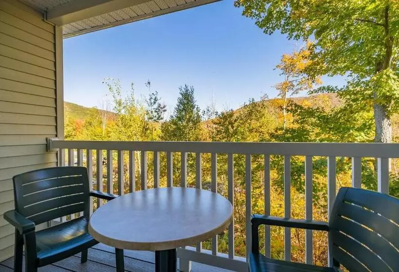 １ベッドルームのスーペリアアパートメント, Vacation Village In The Berkshires