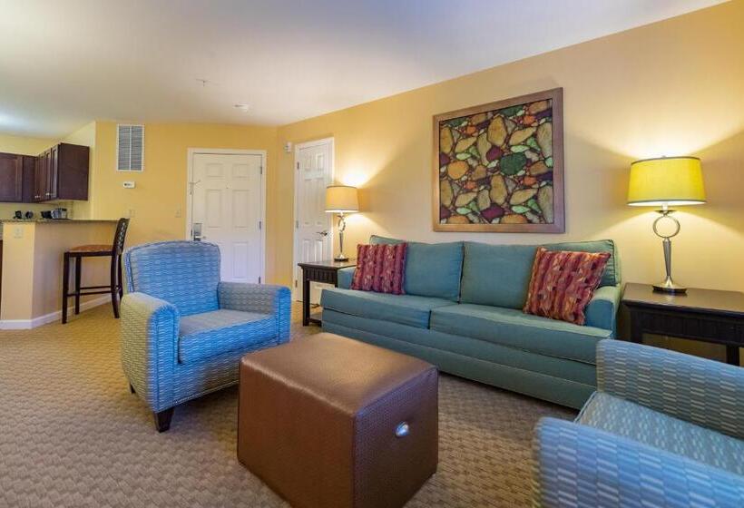 Апартаменты Премиум 1 Спальня, Vacation Village In The Berkshires