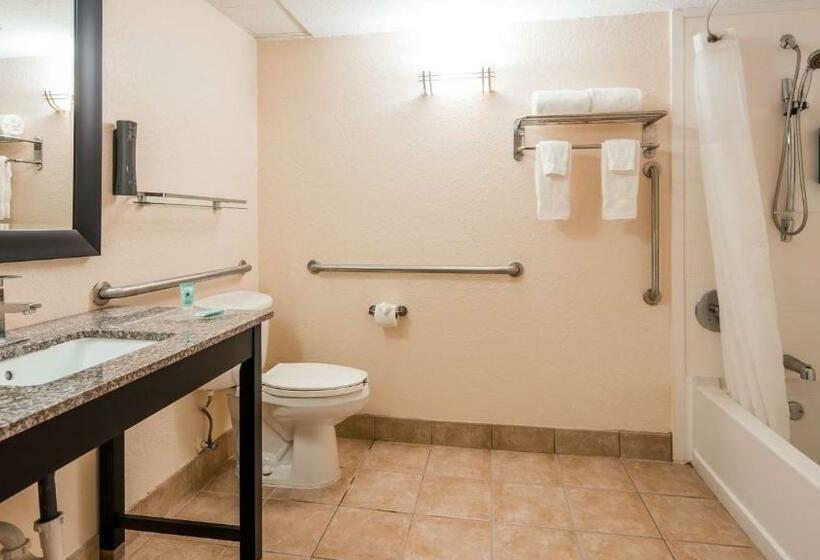 غرفة قياسية سرير كينج, Best Western Mulberry