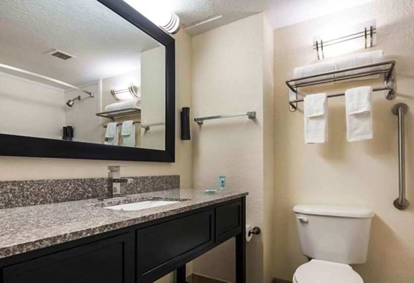 غرفه قياسيه سريرين مزدوجين, Best Western Mulberry