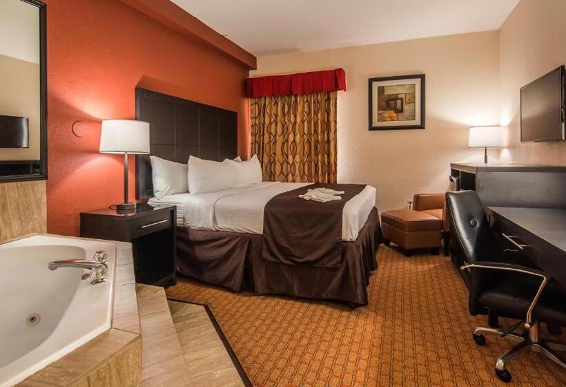 غرفة قياسية سرير كينج, Best Western Mulberry