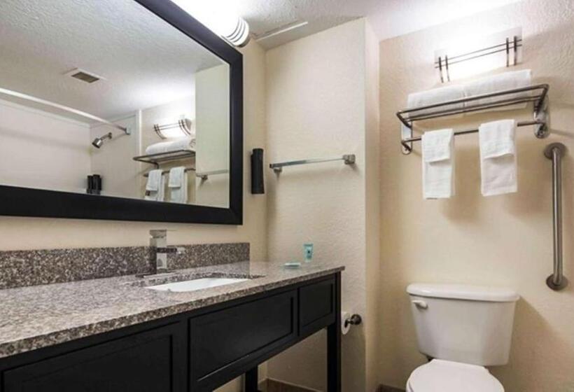Номер Стандарт 2 Двуспальные Кровати, Best Western Mulberry
