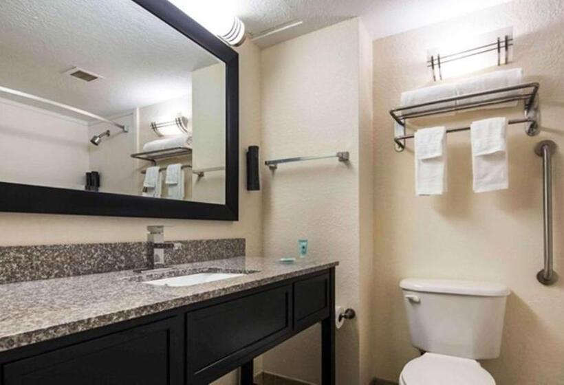 غرفه قياسيه سريرين مزدوجين, Best Western Mulberry