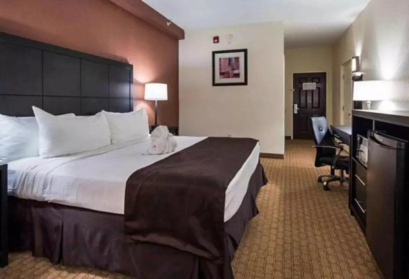 Executive-huone King-vuode, Best Western Mulberry