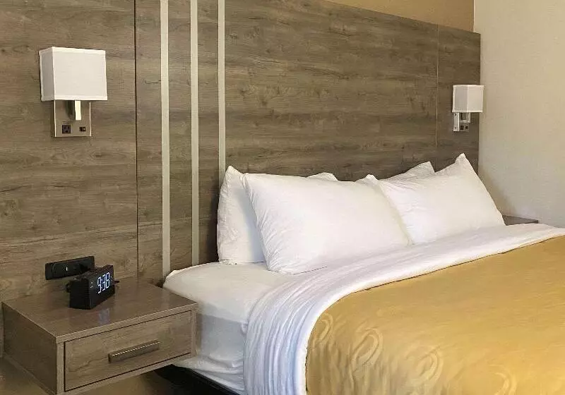 اتاق استاندارد با تخت بزرگ, Quality Inn Albuquerque East I40 Juan Tabo Exit